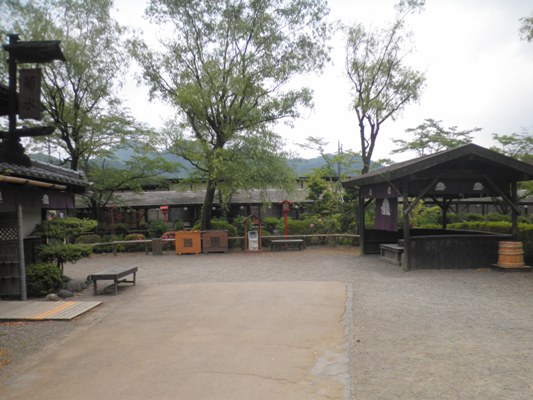 shaku1280606