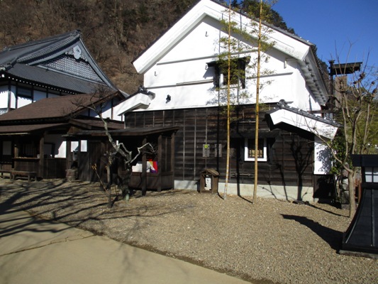 sho1020104