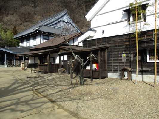 sho2020125