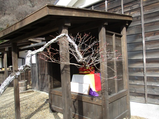 sho3020125