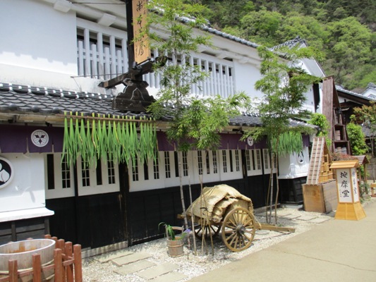 shoubu290503