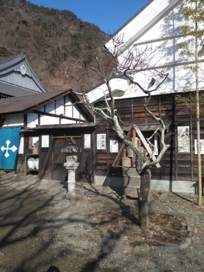 shoumeen270121