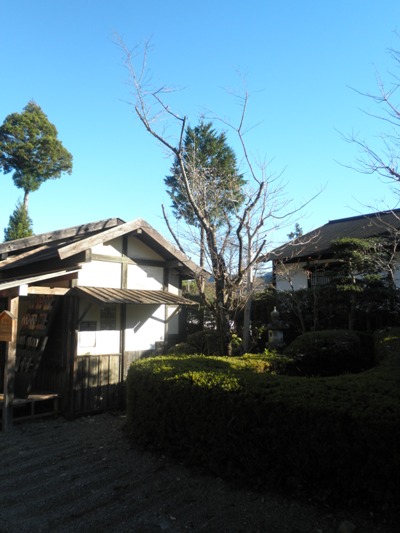 shu1271205