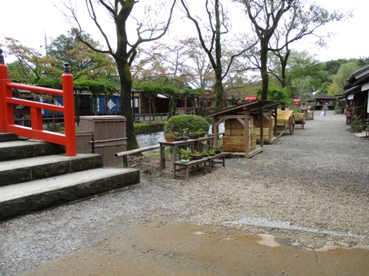 shu2011013