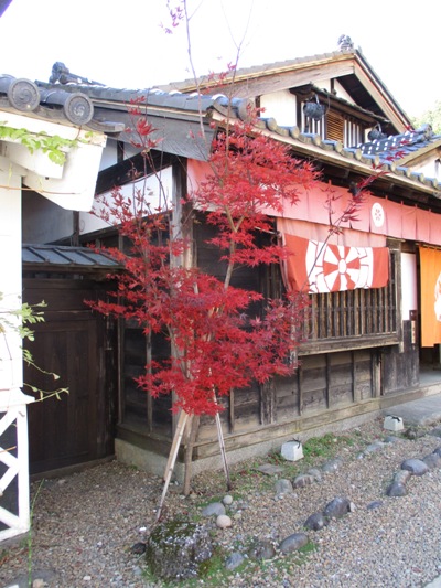 shu2011203
