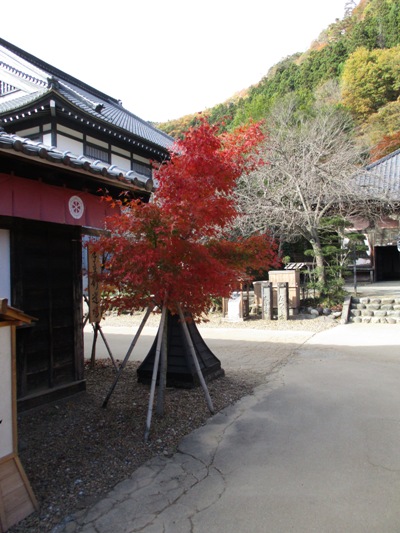 shu2301129