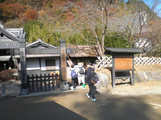 shu3281122