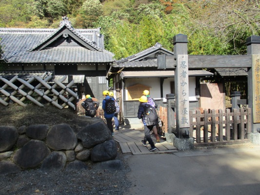 shu3291111