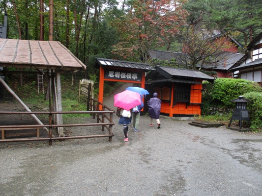 shuu1291013
