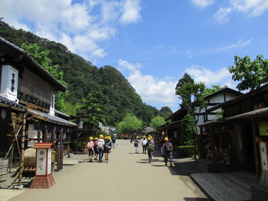 shuu2290609