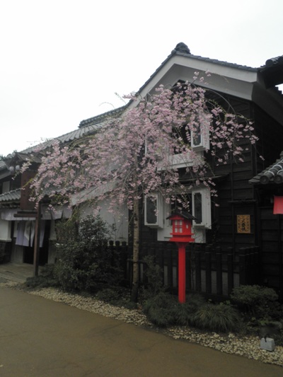 si1naka270411