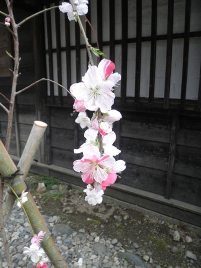 sidare280418