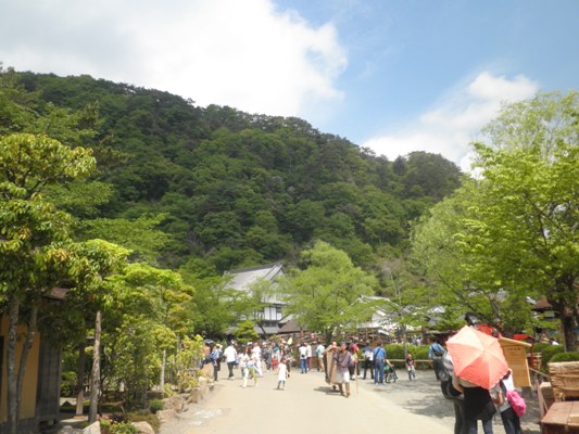 sinryoku270504