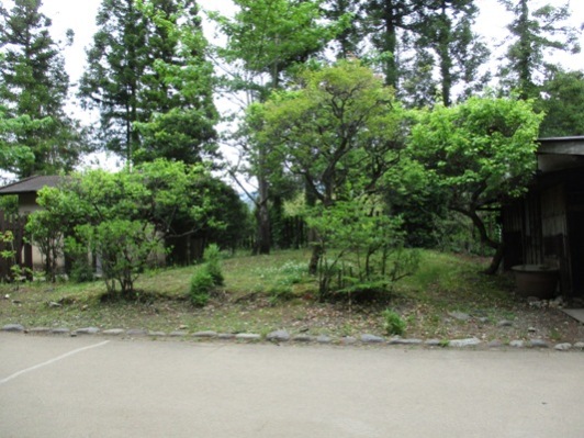 siro1010605