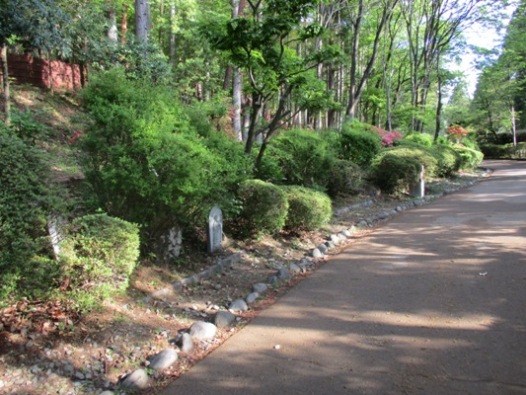 siro1290511