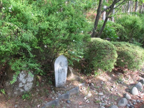 siroi2290511