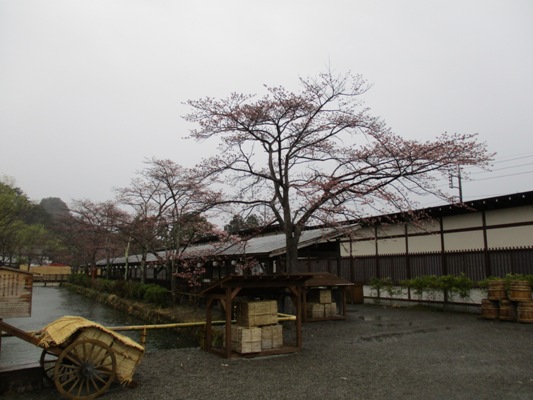 so1290409