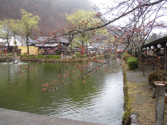 so2310401