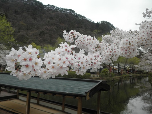 so2naka270410