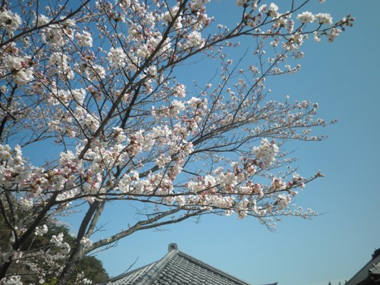 some3naka270406