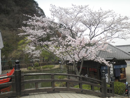 somei100410