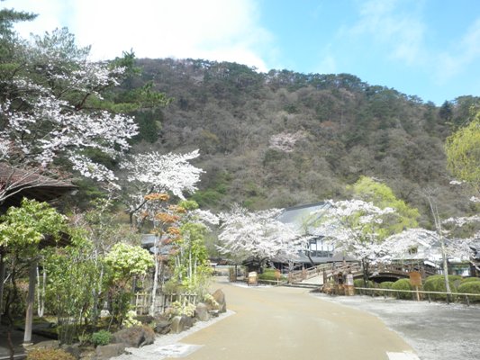 somei270415