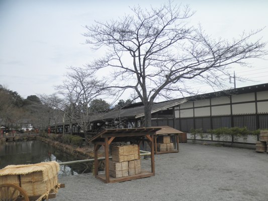 somei290210