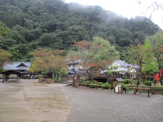 somei291021
