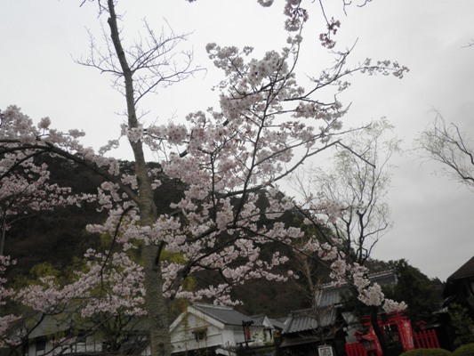 somei3naka270407