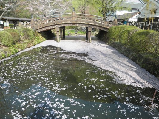 someiikada270418