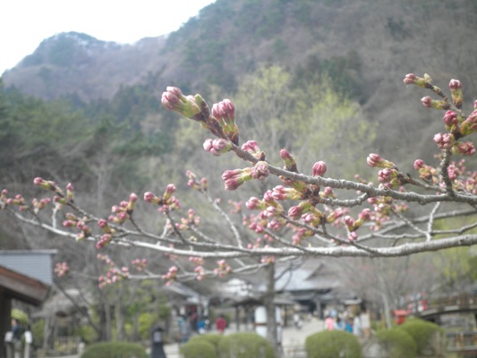 someikin270401