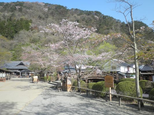 someitiru270418