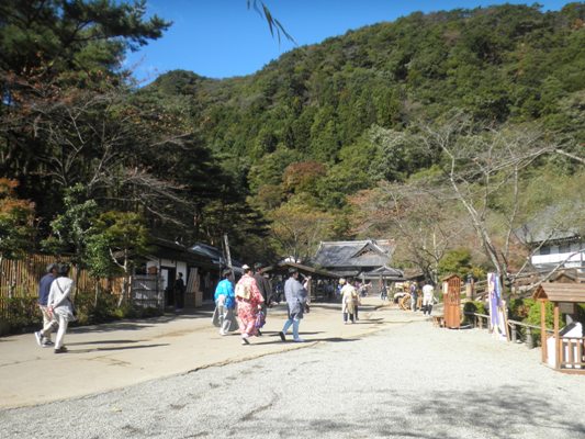 sonnai281029