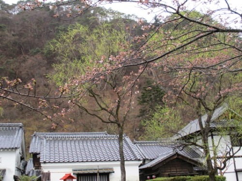 sooku290409