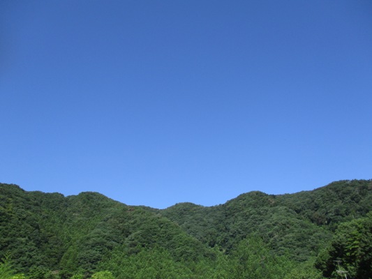 sora010906