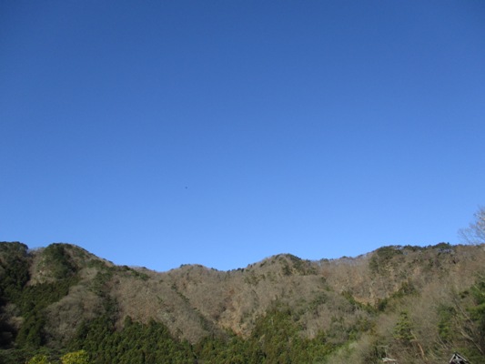 sora020101