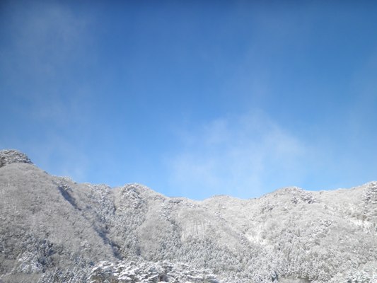 sora290115