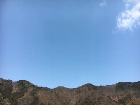 sora290320