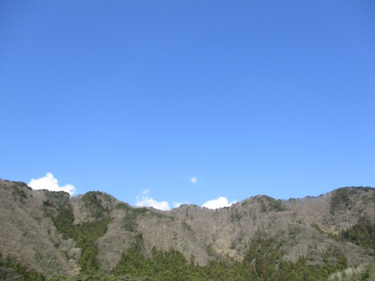 sora290403