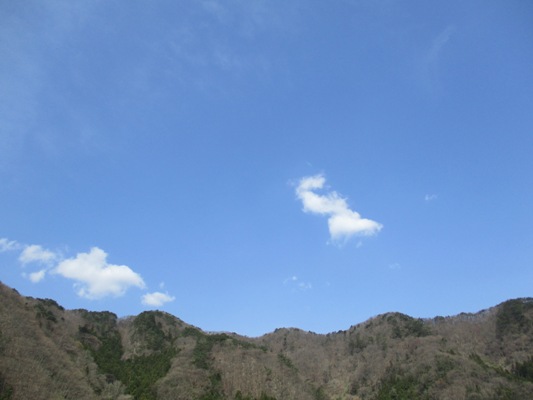sora290415