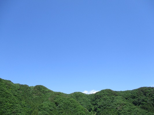 sora290603