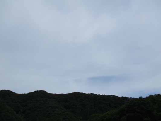 sora290626