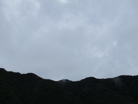 sora290703