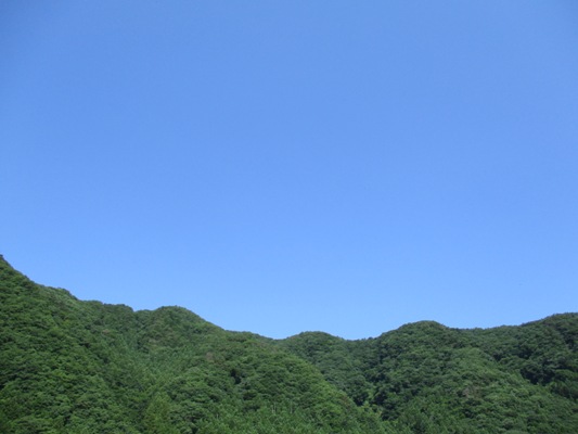 sora290708