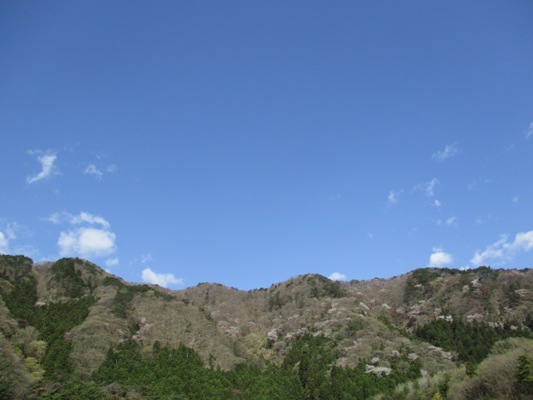 sora300409