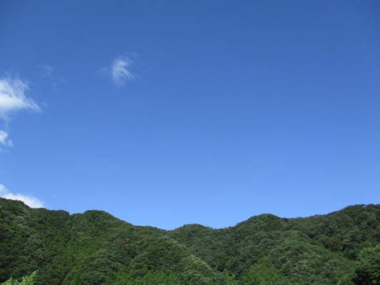 sorada010917