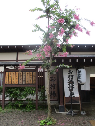 suberi5290820
