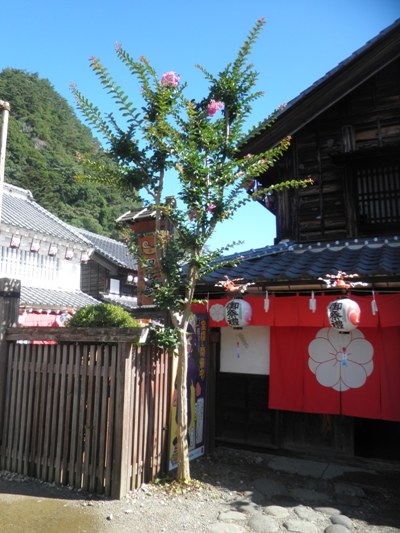 tama2280818