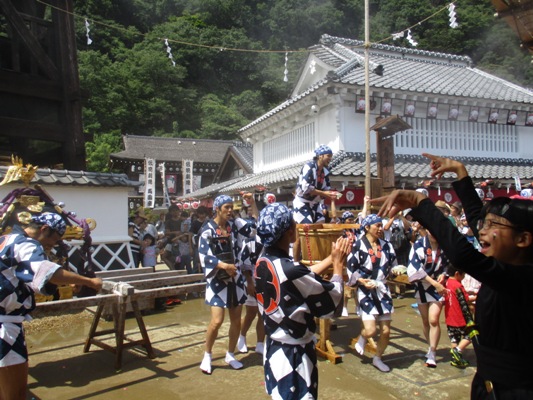 tama5300819