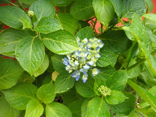 tamaru3280607